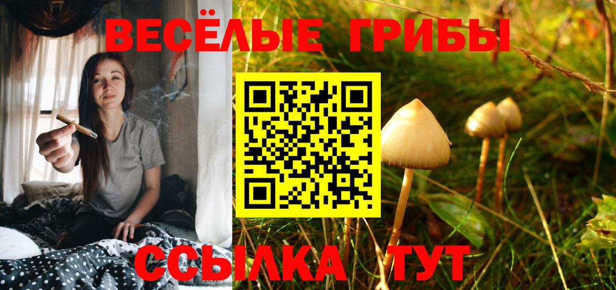 Галлюциногенные грибы ЛСД Жигулёвск